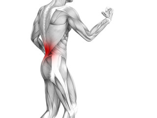 Conceptual back human anatomy with red hot spot inflammation articular joint pain or spine health care therapy or sport muscle concepts. 3D illustration man arthritis or bone sore osteoporosis disease