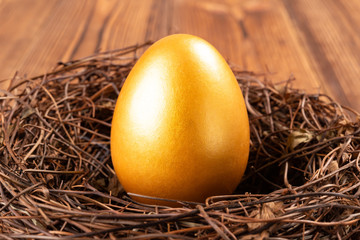 gold egg on a nest on wooden background
