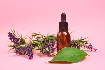 bottle of essential oil with lavender flowers