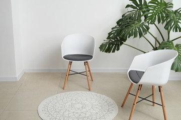 Green tropical plant with white chairs in light room
