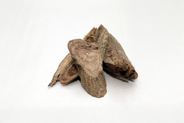 Jewel vine (Derris scandens (Roxb.) Benth.) isolated in bright background. Medicinal herb asian traditional medicine.