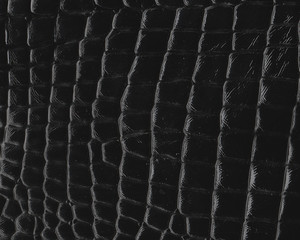 Deep dark black color luxury genuine reptile leather texture background. Close up photography of sofa, chair, interior, auto seat cover