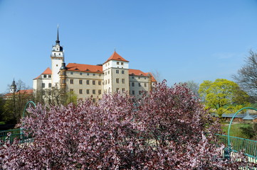 Torgau, Ansicht des Schlosses