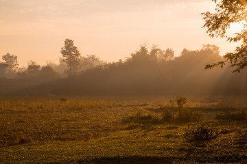 Landscape of sunrise in agriculture field.