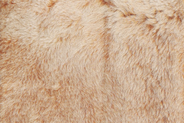 Light beige and brown shaggy fluffy fur texture background