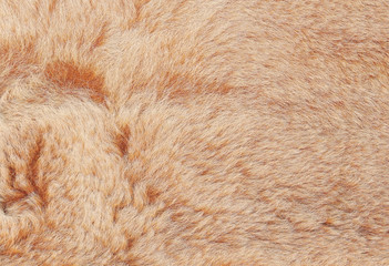 Light beige and brown shaggy fluffy fur texture background
