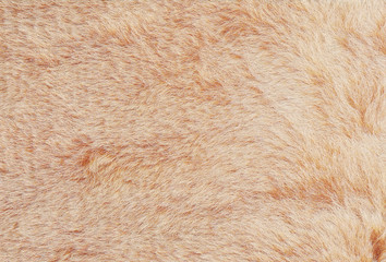 Light beige and brown shaggy fluffy fur texture background