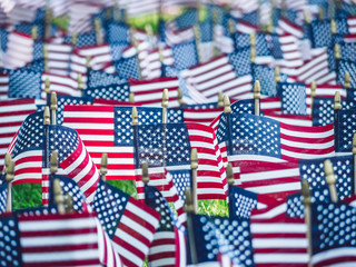 Fototapeta premium Independence Day in the park