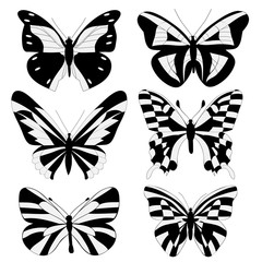 Fototapeta premium isolated, black and white butterfly silhouette
