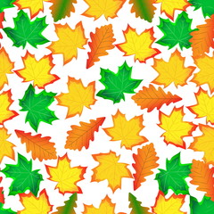 Leaves of a maple. Seamless drawing of autumn leaves of trees