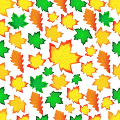 Fototapeta premium Leaves of a maple. Seamless drawing of autumn leaves of trees