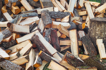 Background of firewood. Preparation of firewood for the winter. The place for the felling of firewood