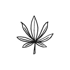 cannabis leaf vector doodle sketch isolated on white background