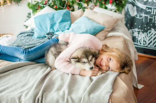 Cute girl with blond long hair plays with small Malamute puppy at home in a room decorated for Christmas
