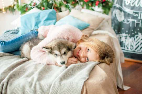 Cute girl with blond long hair plays with small Malamute puppy at home in a room decorated for Christmas
