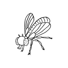 fly vector doodle sketch isolated on white background