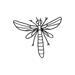 fly vector doodle sketch isolated on white background