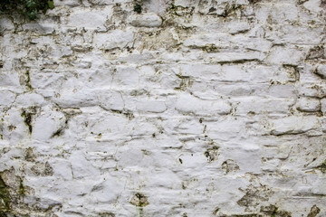 textured wall