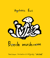 농산물 일러스트 / 손으로 그린 과일과 채소 그림