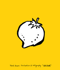 농산물 일러스트 / 손으로 그린 과일과 채소 그림