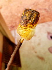 焼きマシュマロ(枝に刺して焼く)