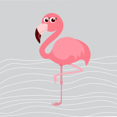 cute flamingo background,  vector illustration