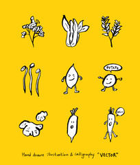 농산물 일러스트 / 손으로 그린 과일과 채소 그림