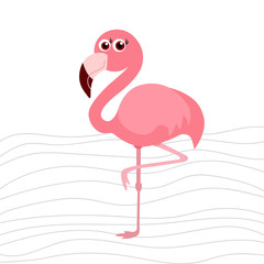 cute flamingo background,  vector illustration