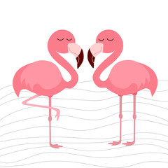 cute flamingo background,  vector illustration