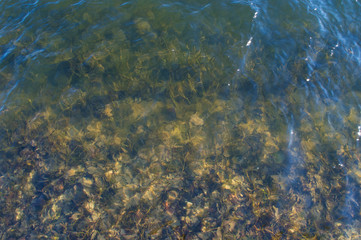 Bottom with mud through clear water