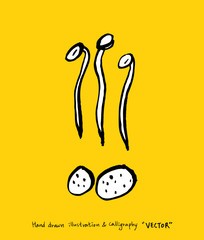 농산물 일러스트 / 손으로 그린 과일과 채소 그림