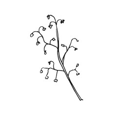 branch vector doodle sketch isolated on white background