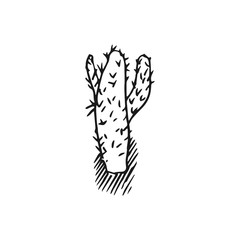cactus vector doodle sketch isolated on white background