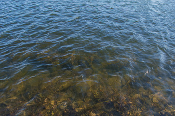 Bottom with mud through clear water