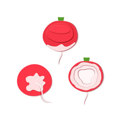 Set of paper cut red radish. Vector paper cut design in the form of ripe root whole and slice for design of food packaging. Vector illustration. Paper applique art style root vegitable Origami concept