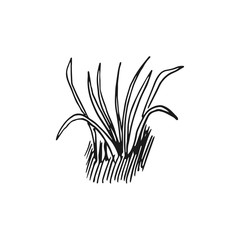 grass vector doodle sketch isolated on white background