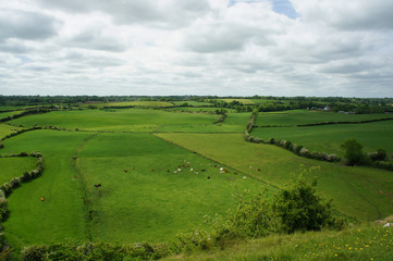 Fototapeta na wymiar Rural views of Ireland.
