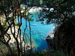 Fototapeta premium 秘密の楽園（西伊豆 浮島海岸）