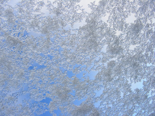 Snow on a glass window