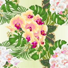 Seamless texture bouquet with tropical flowers  floral arrangement, with beautiful yellow and white orchid Phalaenopsis, palm,philodendron and ficus vintage vector illustration  editable hand draw