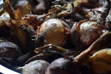 Old and dirty onions close-up