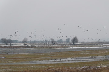 Park Narodowy Ujście Warty