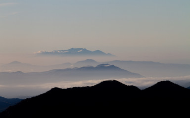 mountain Mist