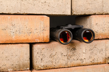 Surveilling the border