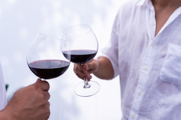 Two man toasting a wine glasses