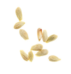 Seeds in tangerines on a white background