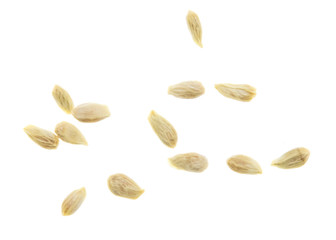 Seeds in tangerines on a white background