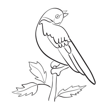 silhouette of vector bird sit on branch