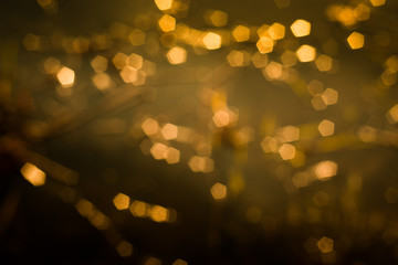 abstract background with bokeh