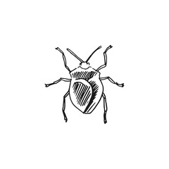 bug vector doodle sketch isolated on white background